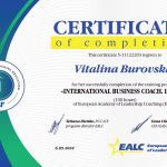 BusinessCoachLevel1